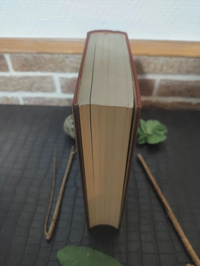 E.T.A Hoffmann - Contes et Dessins / Volume 2, Tomes I et II - photo numéro 4