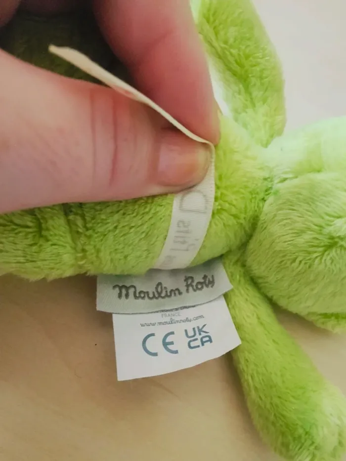 Petit ours vert - photo numéro 7