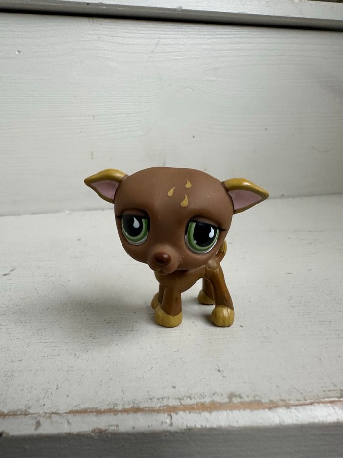 Petshop lévrier chien