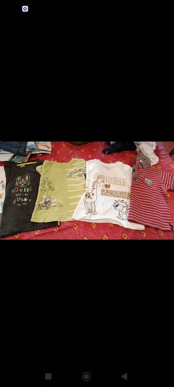 Lot tee shirt 12 mois