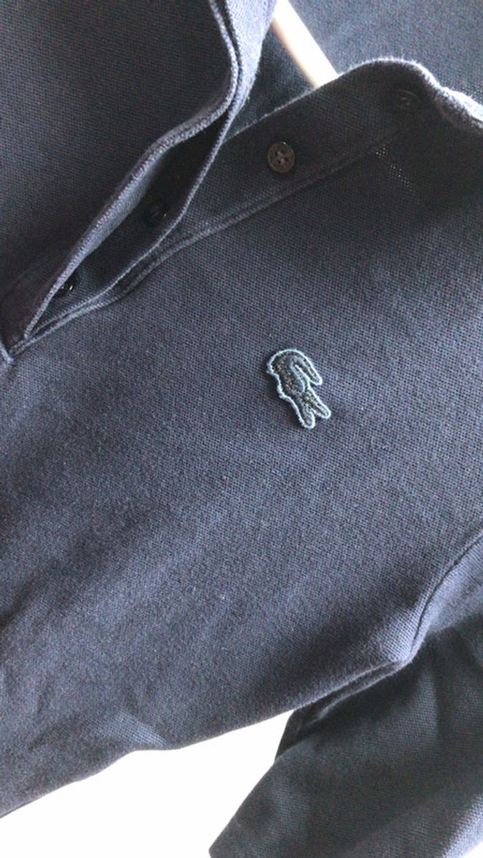 Polo Lacoste - photo numéro 5