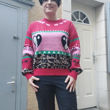 Magnifique pull neuf taille unique