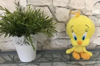 Peluche titi