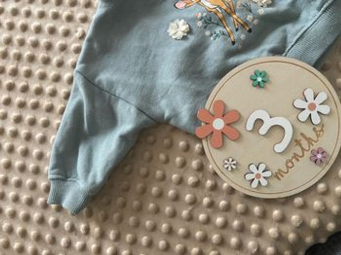 Pull bambi - photo numéro 4