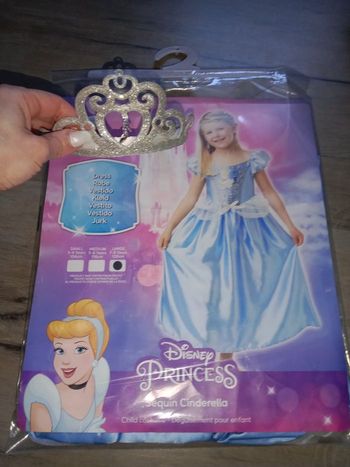 Déguisement cendrillon 