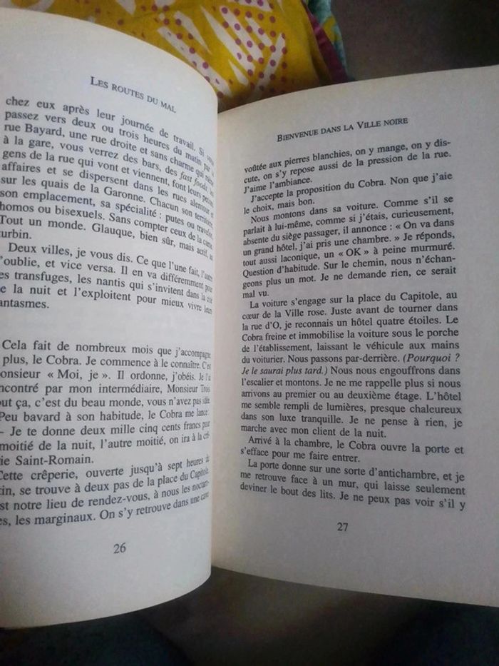 Fanny mes nuits noires dans la ville rose - photo numéro 5