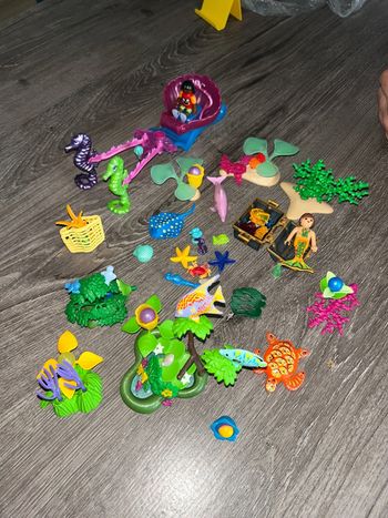 Char de princesse Playmobil avec accessoires
