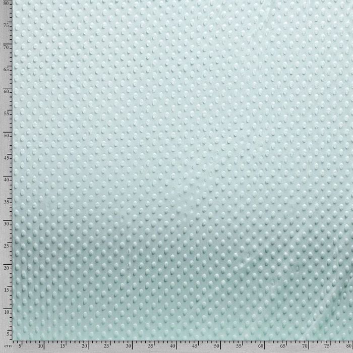 Coupon tissu Minky pois menthe