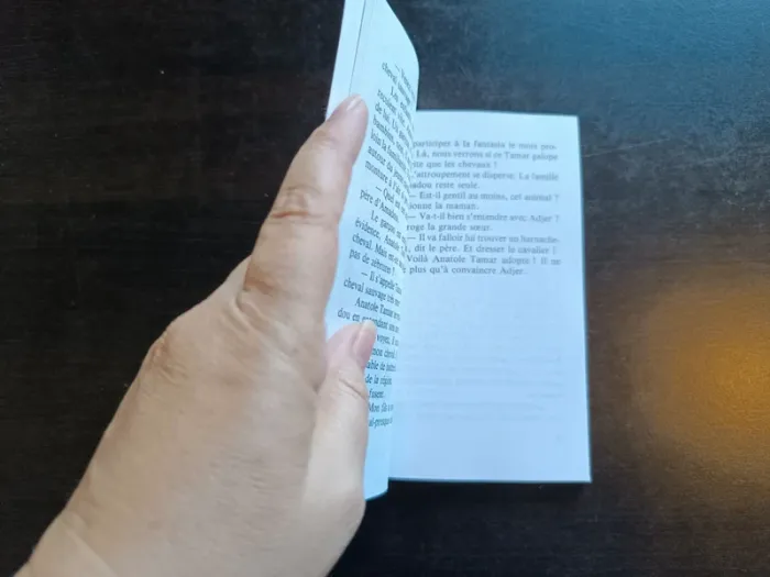 Livre ANATOLE TAMAR, LE ZEBRE À POIS - Clémentine Pol Tanguy - photo numéro 5