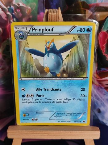 Prinplouf 28/108 explorateurs obscurs