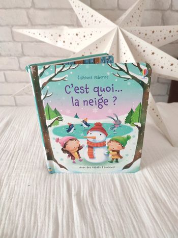 Livre pop up c'est quoi la neige usborne