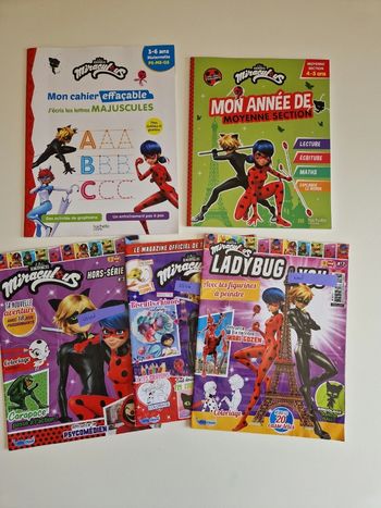 Lot de 5  cahiers Miraculous