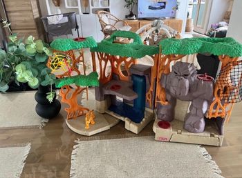 Jungle + tigre 