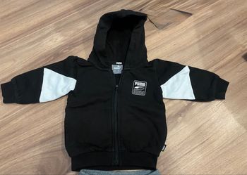 Ensemble puma