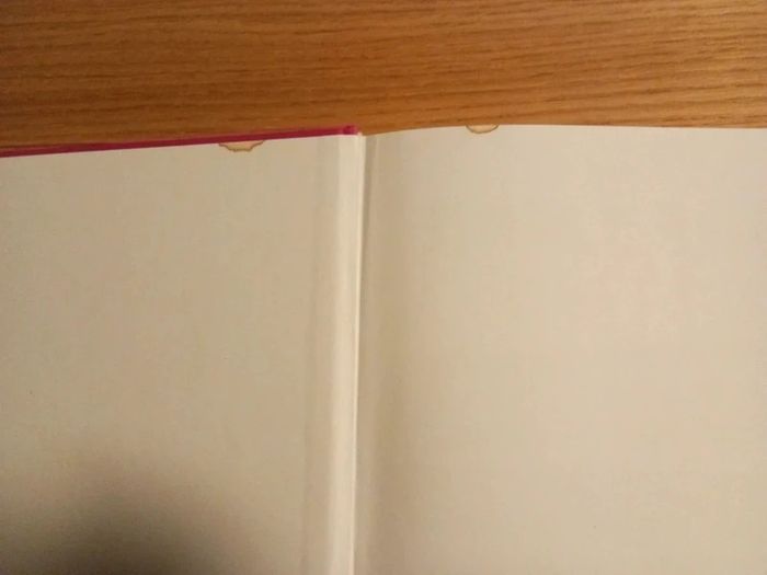 Livres simplissime - photo numéro 5