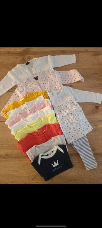 Lot Tee-shirts, gilets, bodys, robe