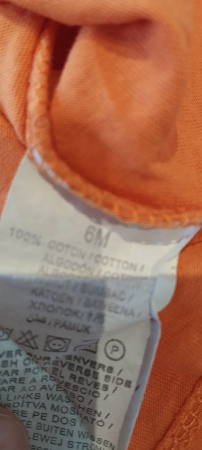 T-shirt MC garçon 6 mois - photo numéro 4