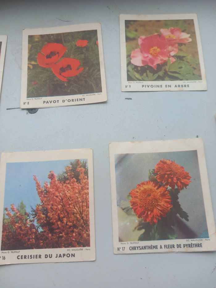 Anciennes images biscottes Reinette - photo numéro 5