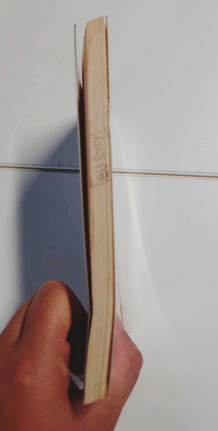 La télévision sur internet - photo numéro 3