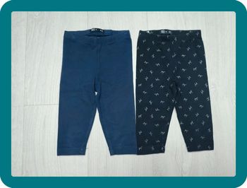 Lot pantacourts
