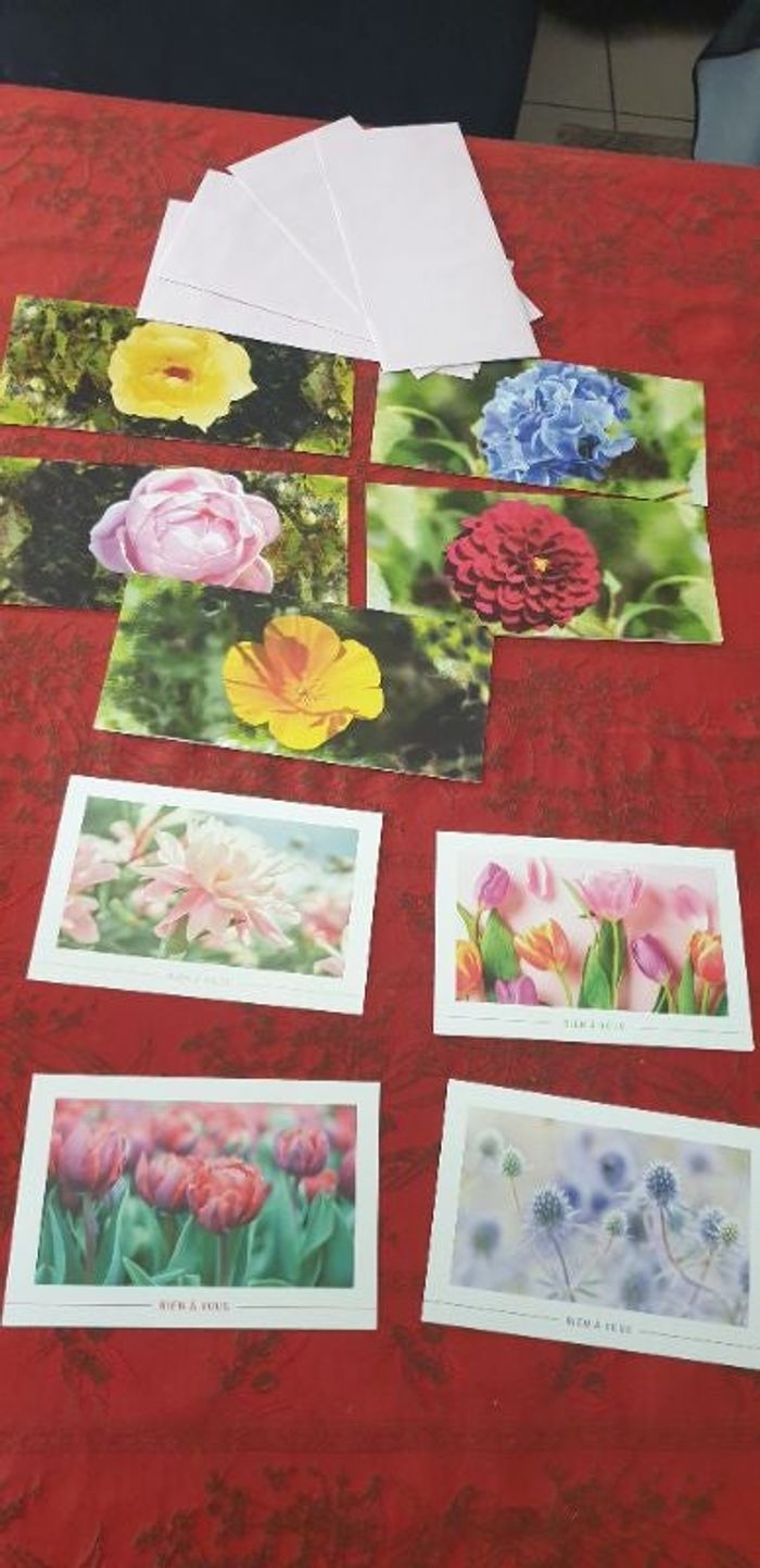 Lot de 9 cartes et 4 enveloppes