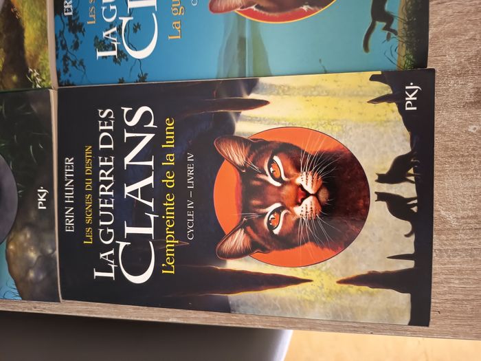 La guerre des clans - photo numéro 5
