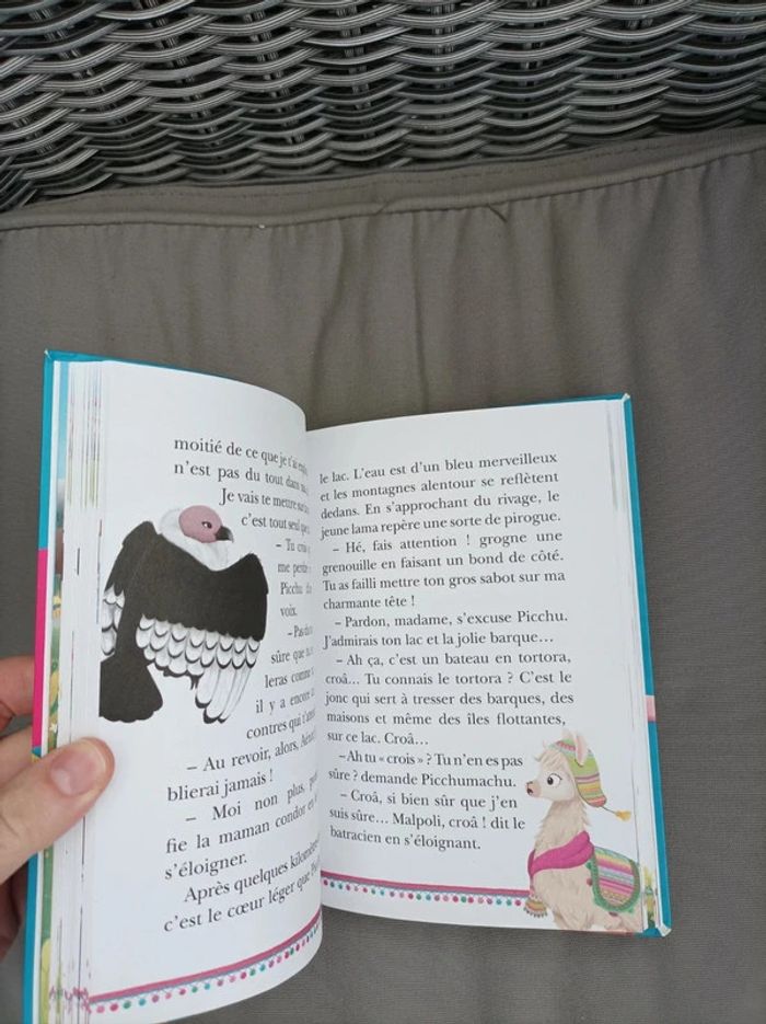 Livre "au pays des lamas : c est toi les héros" - photo numéro 6