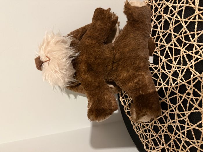 doudou chiot marron bukowski - photo numéro 7