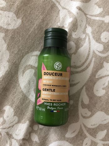 Shampooing lait châtaigne