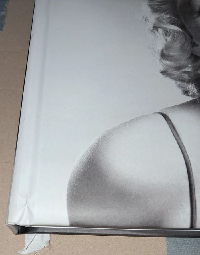 Marilyn Monroe les archives secrètes - photo numéro 4