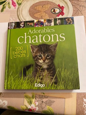 Livre sur les chats