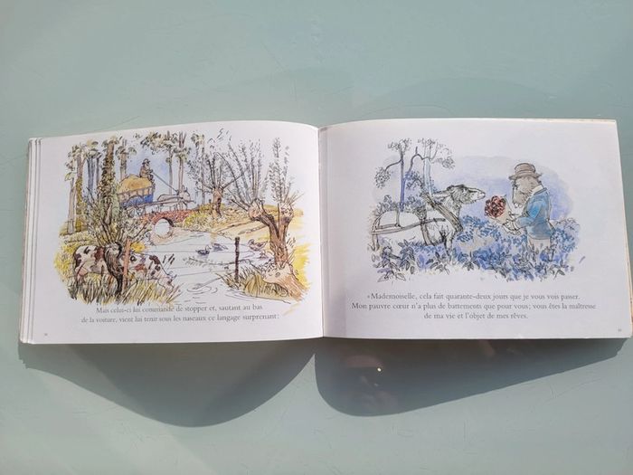 Livre couverture souple l'école des loisirs : Histoire d'Edouard, Philippe Dumas (58) - photo numéro 9