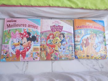 Lot livre Disney effaçable premier cherche et trouve