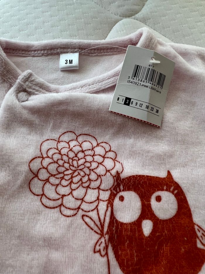 Grenouillère - photo numéro 2