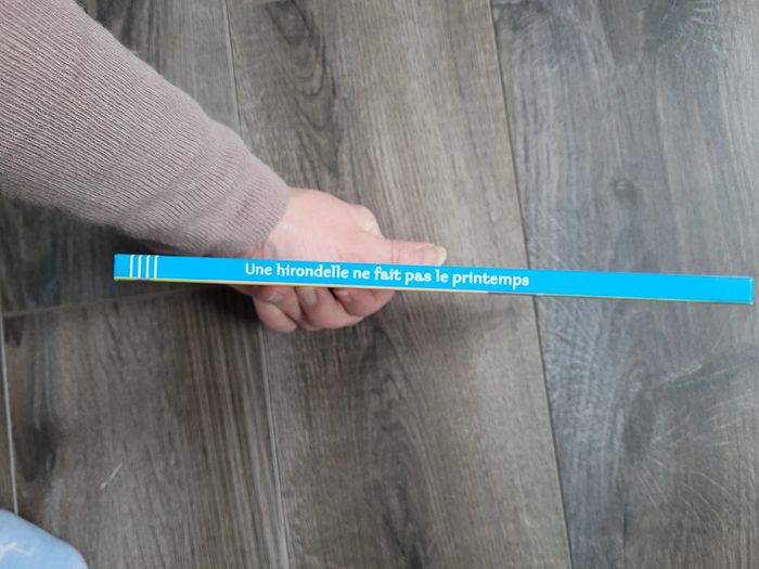 Livre "une hirondelle ne fait pas le printemps " - photo numéro 6