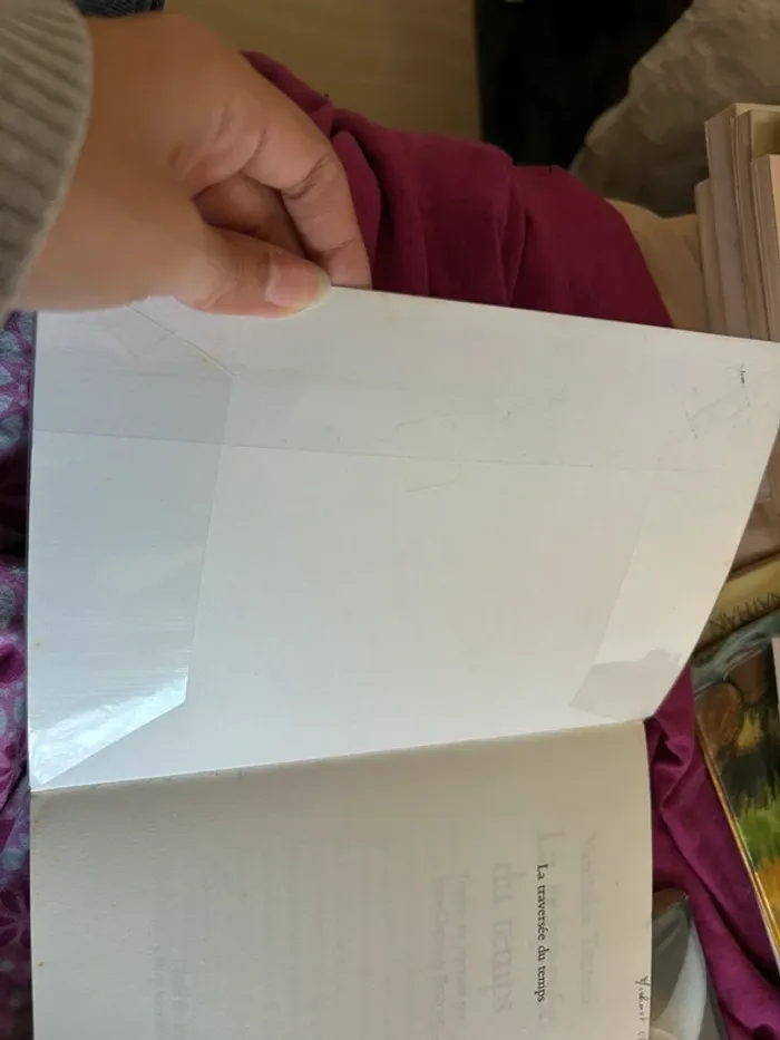 Livre la traversée du temps de yasukata tsutsui - photo numéro 3