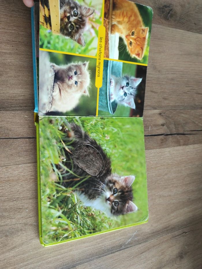 Regarde et touche ! - photo numéro 7