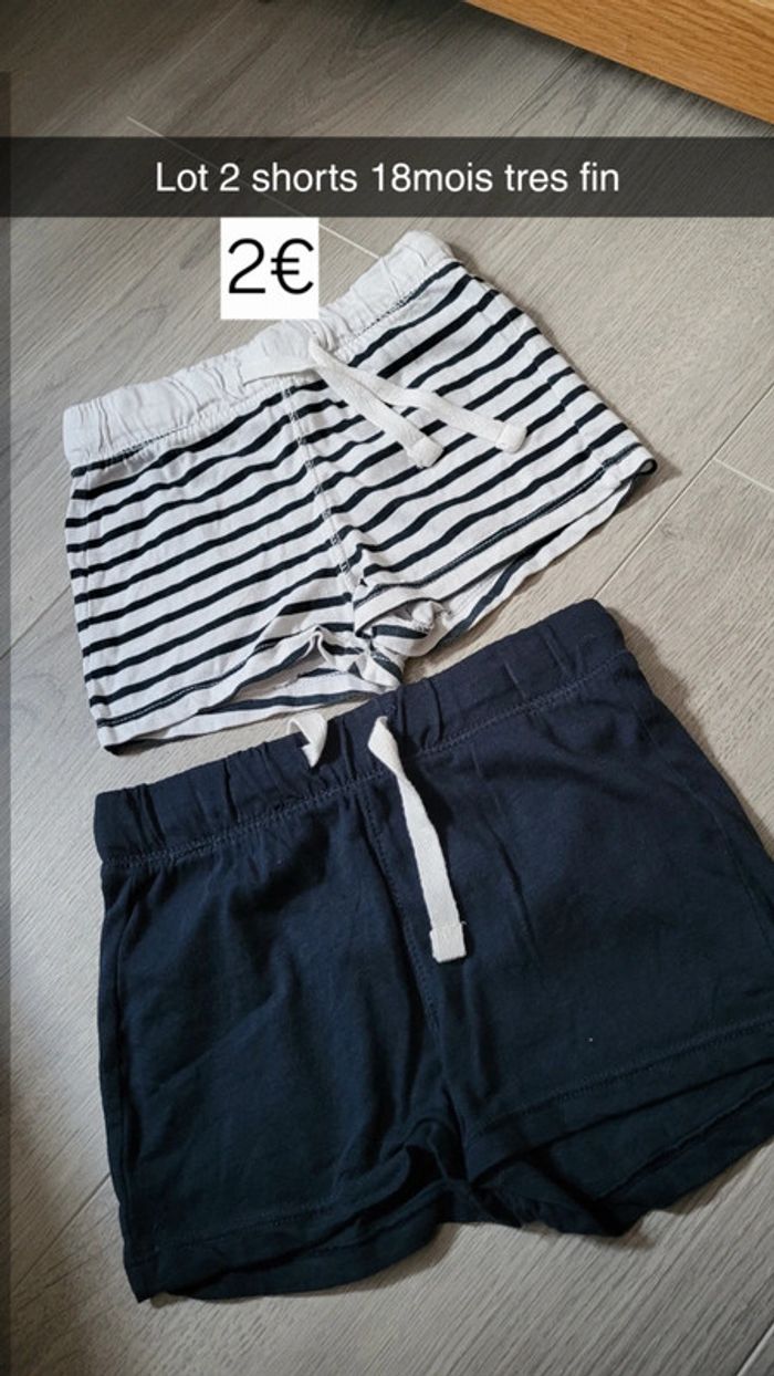 Lot 2 short fin