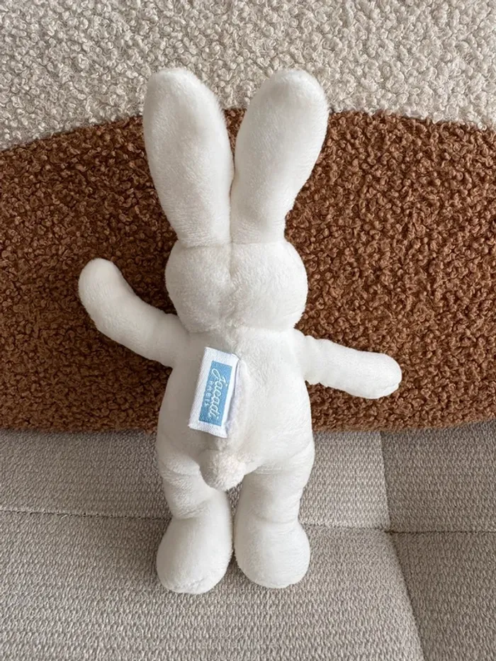 Lapin jacadi - photo numéro 2
