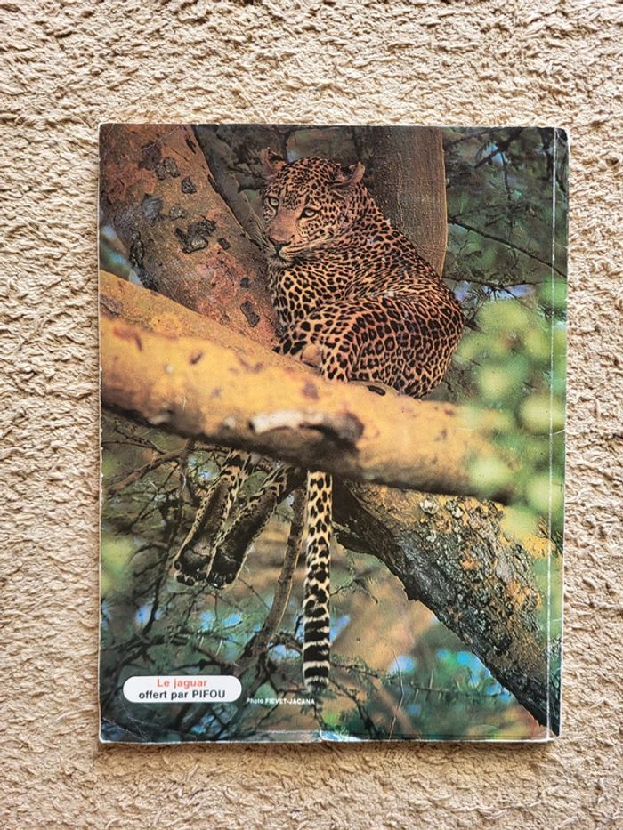 Magazine Pifou n°5 - Vintage collector - photo numéro 2