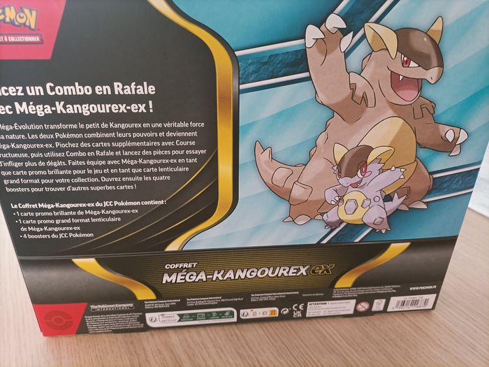 Coffret pokémon - photo numéro 2