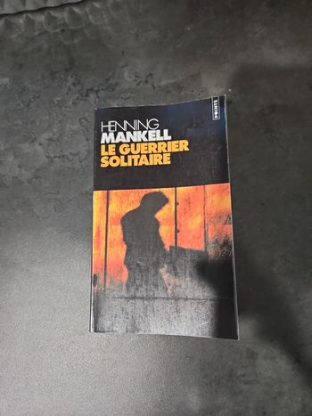 Livre : Le guerrier solitaire
