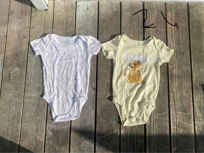 Lot bodies SIMBA