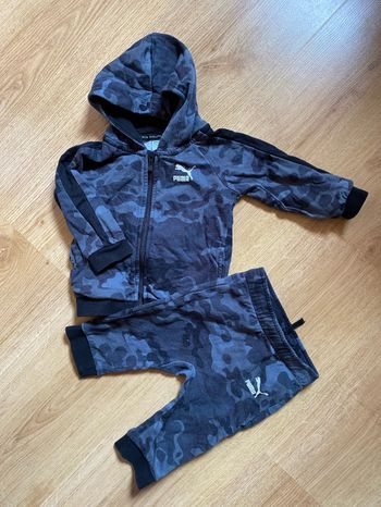 Ensemble Puma