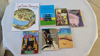 Lot 7 livres jeunesse 