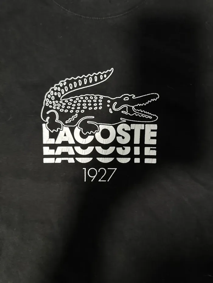 Tshirt lacoste 12 ans - photo numéro 2