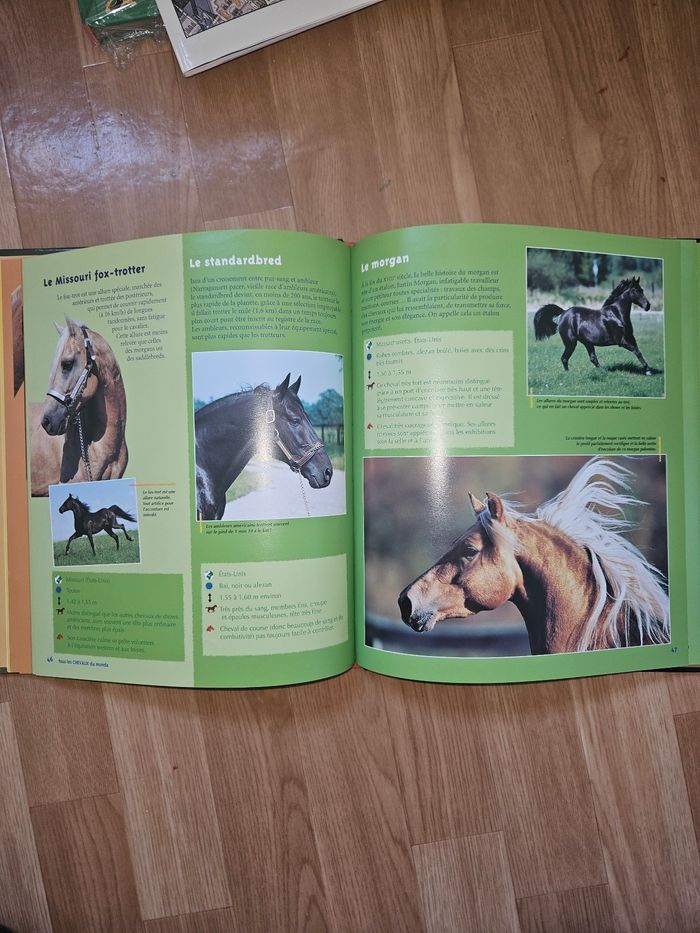 Livre tous les chevaux du monde de jean Michel lang - photo numéro 2