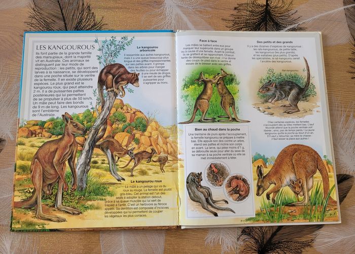 Les Animaux d'Australie Emilie Beaumont, Mia-Betti Ferrero - photo numéro 2