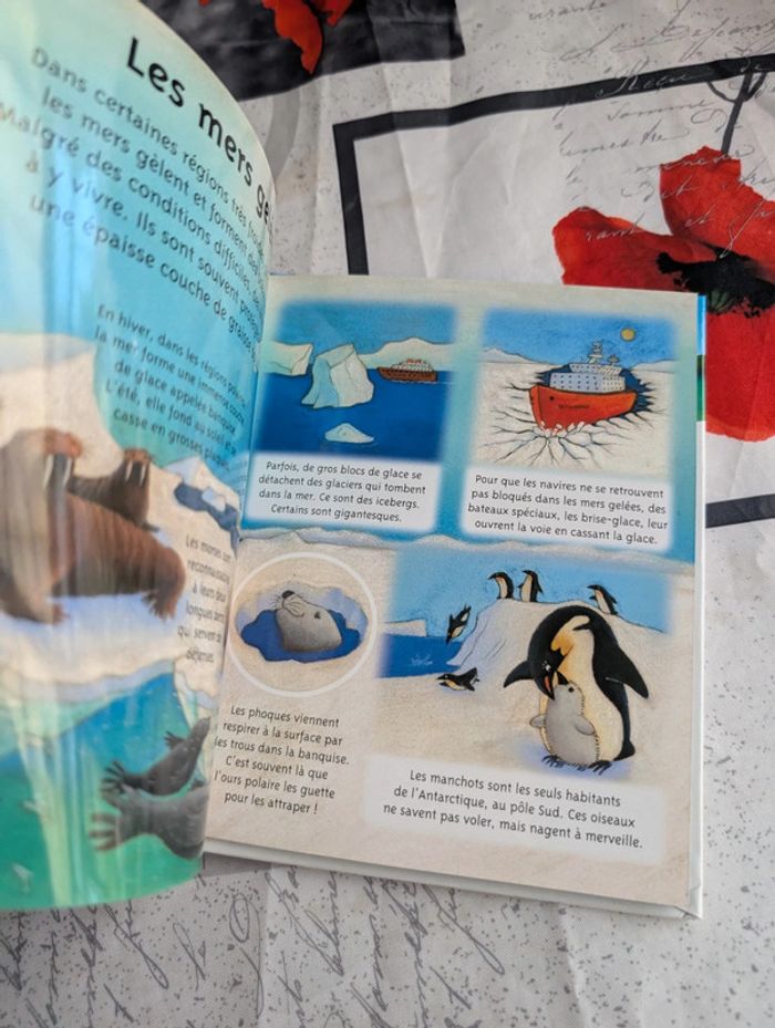 La petite imagerie - photo numéro 11