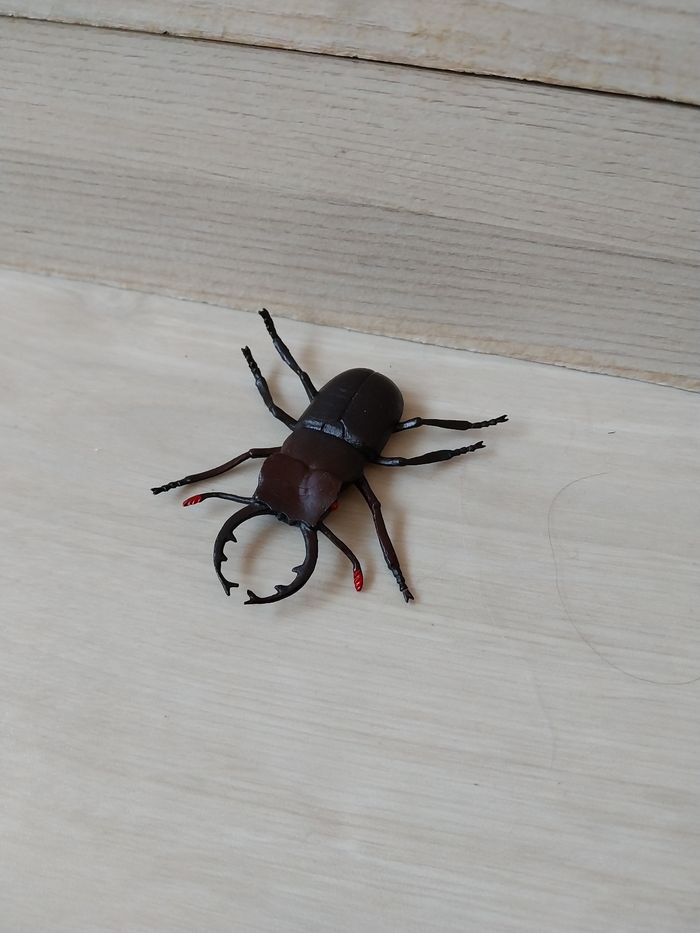 Lot insecte - photo numéro 6